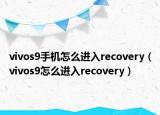 vivos9手机怎么进入recovery（vivos9怎么进入recovery）