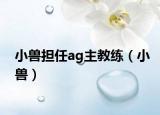 小兽担任ag主教练（小兽）