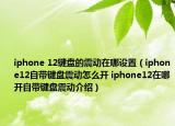 iphone 12键盘的震动在哪设置（iphone12自带键盘震动怎么开 iphone12在哪开自带键盘震动介绍）