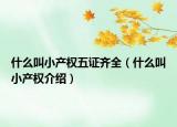 什么叫小产权五证齐全（什么叫小产权介绍）
