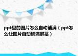 ppt里的图片怎么自动铺满（ppt怎么让图片自动铺满屏幕）