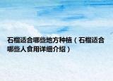 石榴适合哪些地方种植（石榴适合哪些人食用详细介绍）