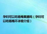孕妇可以吃杨梅果脯吗（孕妇可以吃杨梅不详细介绍）