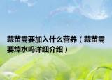 蒜苗需要加入什么营养（蒜苗需要焯水吗详细介绍）