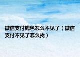 微信支付钱包怎么不见了（微信支付不见了怎么找）