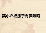 买小产权房子有保障吗