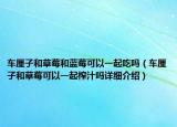 车厘子和草莓和蓝莓可以一起吃吗（车厘子和草莓可以一起榨汁吗详细介绍）