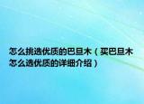 怎么挑选优质的巴旦木（买巴旦木怎么选优质的详细介绍）