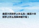 桑葚汁弄到手上怎么洗（桑葚汁弄到手上怎么洗掉详细介绍）