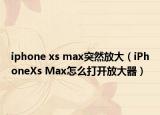 iphone xs max突然放大（iPhoneXs Max怎么打开放大器）