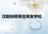 沈阳标榜美容美发学校