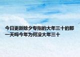 今日更新除夕专指的大年三十的那一天吗今年为何没大年三十