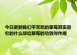 今日更新我们平常吃的草莓其实是它的什么部位草莓的功效与作用