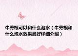 牛蒡根可以和什么泡水（牛蒡根和什么泡水效果最好详细介绍）