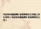 乌拉特中旗毅腾矿业有限责任公司是上市公司吗（乌拉特中旗毅腾矿业有限责任公司）