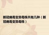新冠病毒变异毒株共有几种（新冠病毒变异毒株）