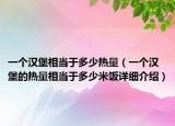 一个汉堡相当于多少热量（一个汉堡的热量相当于多少米饭详细介绍）