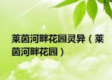 莱茵河畔花园灵异（莱茵河畔花园）