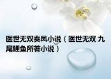 医世无双奏凤小说（医世无双 九尾鲤鱼所著小说）