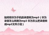 如何将华为手机的录音转为mp3（华为录音怎么转换为mp3 华为怎么把录音转成mp3文件介绍）