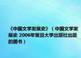 《中国文学发展史》（中国文学发展史 2006年复旦大学出版社出版的图书）