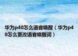 华为p40怎么语音唤醒（华为p40怎么更改语音唤醒词）