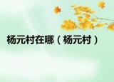 杨元村在哪（杨元村）