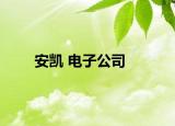 安凯 电子公司
