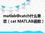 matlab中catch什么意思（cat MATLAB函数）