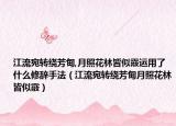 江流宛转绕芳甸,月照花林皆似霰运用了什么修辞手法（江流宛转绕芳甸月照花林皆似霰）