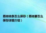 荔枝枝条怎么保存（荔枝要怎么保存详细介绍）