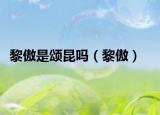 黎傲是颂昆吗（黎傲）