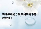 熊这种动物（罴 熊科熊属下的一种动物）