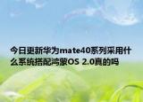 今日更新华为mate40系列采用什么系统搭配鸿蒙OS 2.0真的吗