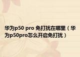华为p50 pro 免打扰在哪里（华为p50pro怎么开启免打扰）