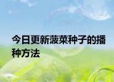 今日更新菠菜种子的播种方法