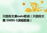 只因你太美swin歌词（只因你太美 SWIN-S演唱歌曲）