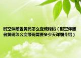 时空伴随者黄码怎么变成绿码（时空伴随者黄码怎么变绿码需要多少天详细介绍）