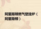 阿里斯顿燃气壁挂炉（阿里斯顿）