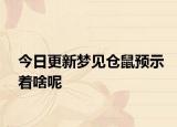 今日更新梦见仓鼠预示着啥呢