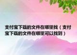 支付宝下载的文件在哪里找（支付宝下载的文件在哪里可以找到）