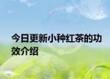 今日更新小种红茶的功效介绍
