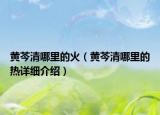 黄芩清哪里的火（黄芩清哪里的热详细介绍）