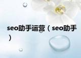seo助手运营（seo助手）