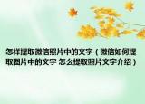 怎样提取微信照片中的文字（微信如何提取图片中的文字 怎么提取照片文字介绍）