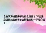 合生滨海城的房子为什么便宜（﻿﻿合生京津新城的房子怎么样谁能说一下呢介绍）