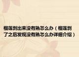 榴莲剥出来没有熟怎么办（榴莲剥了之后发现没有熟怎么办详细介绍）