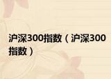 沪深300指数（沪深300指数）