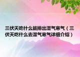 三伏天吃什么能排出湿气寒气（三伏天吃什么去湿气寒气详细介绍）