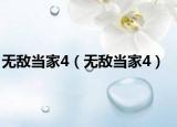 无敌当家4（无敌当家4）